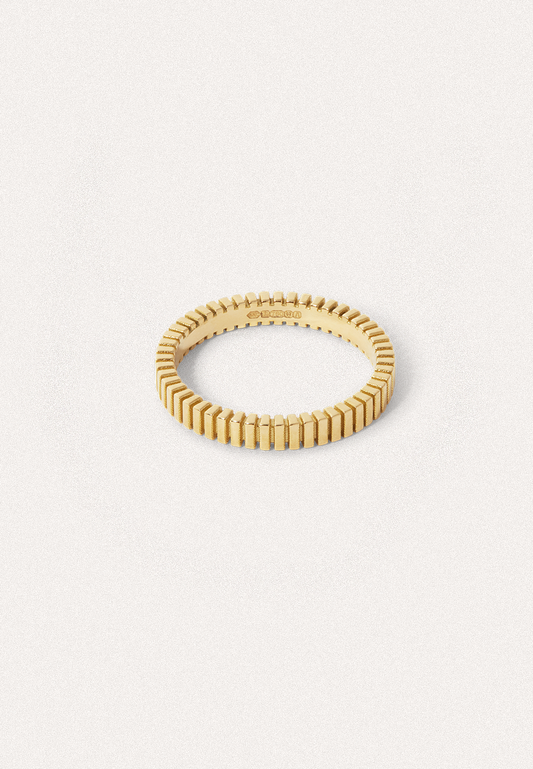 Chapter VI — Structure Ribbed Gold Band